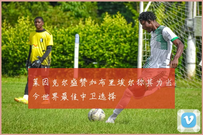 莱因克尔盛赞加布里埃尔称其为当今世界最佳中卫选择