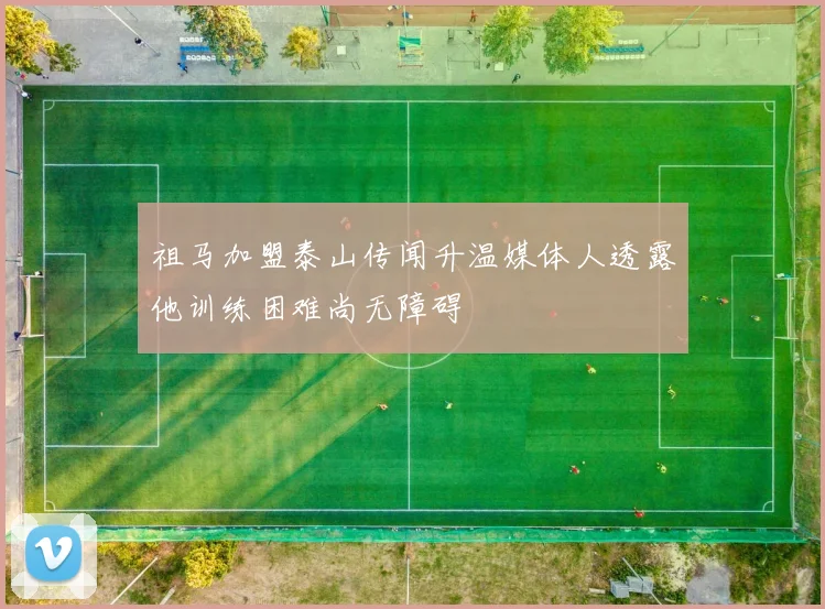 祖马加盟泰山传闻升温媒体人透露他训练困难尚无障碍
