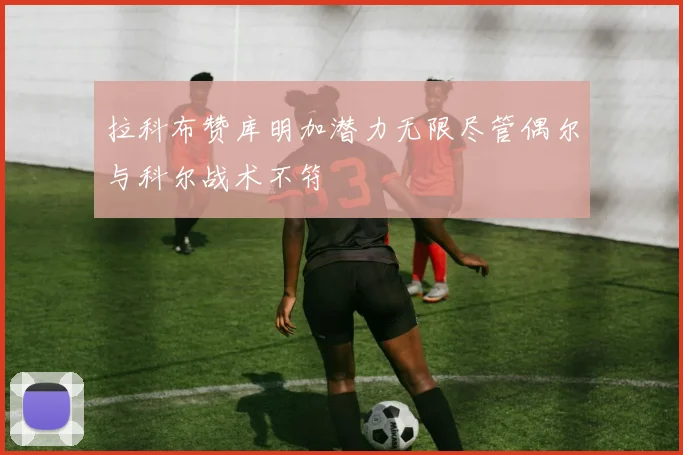 拉科布赞库明加潜力无限尽管偶尔与科尔战术不符