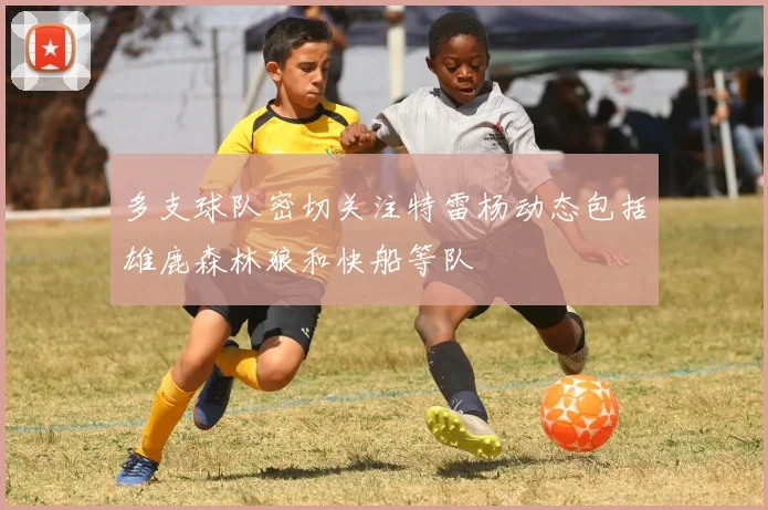 多支球队密切关注特雷杨动态包括雄鹿森林狼和快船等队