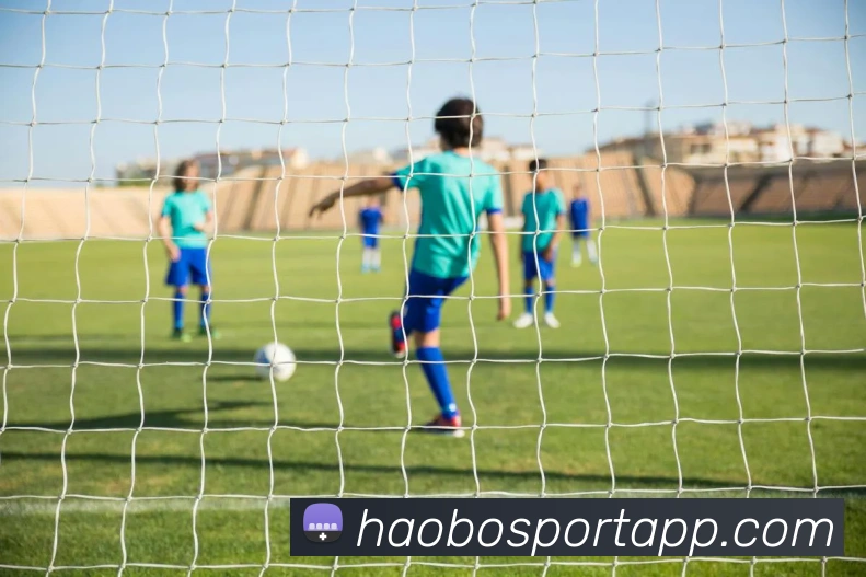 好博体育平台生态图